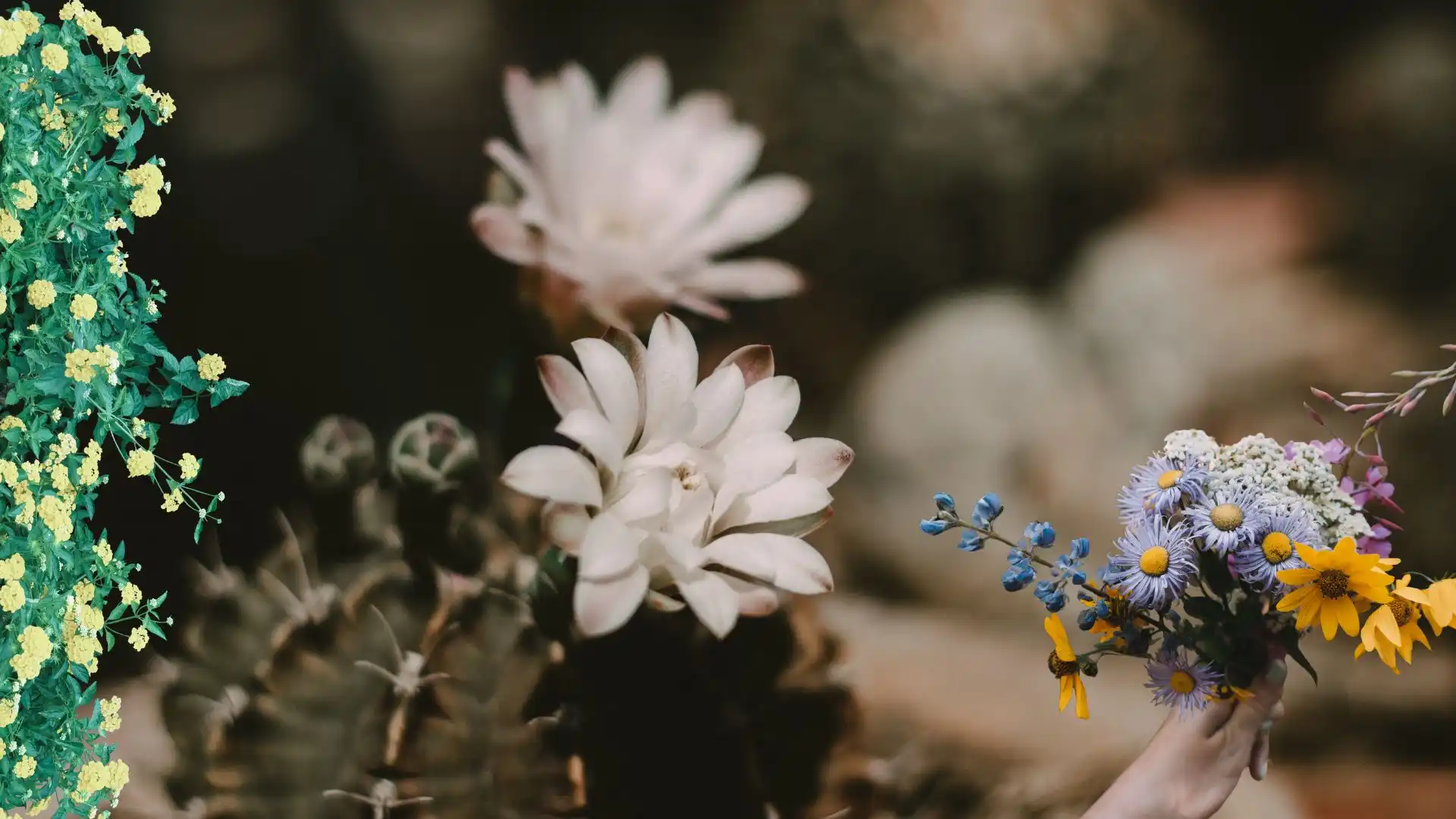 cara agar bunga tidak layu setelah dipetik