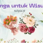 bunga untuk wisuda dan artinya
