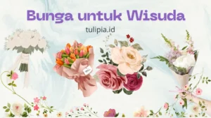 bunga untuk wisuda dan artinya